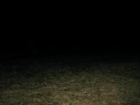 Chicago Ghost Hunters Group investigates Bachelors Grove (66).JPG